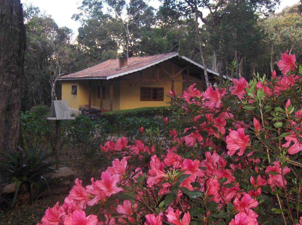 Chalés Wicca Vale- Locação Chalés Hotel São Bento do Sapucaí Exterior foto